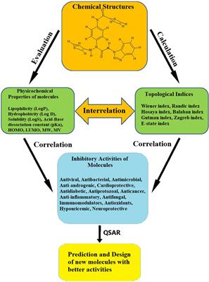 The role of physicochemical and topological parameters in drug design